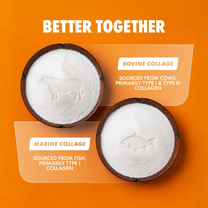 Per4m - Multi-Blend Collagen